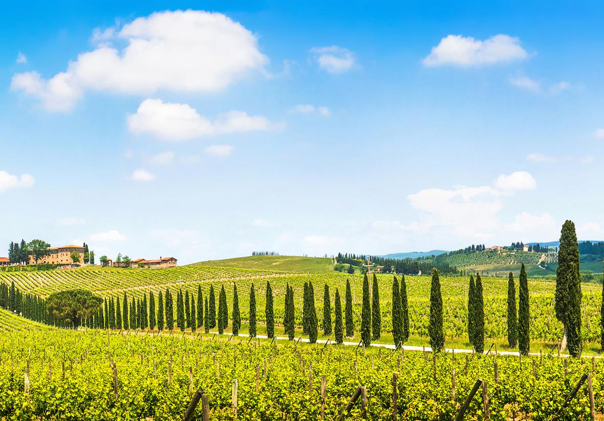 Weinhügel des Chianti