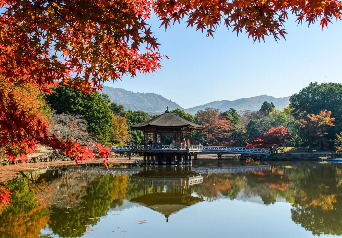 Nara Park