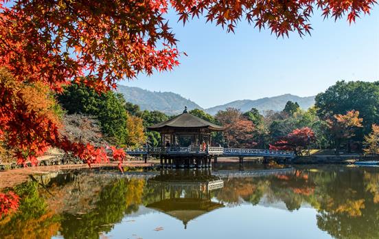 Nara Park