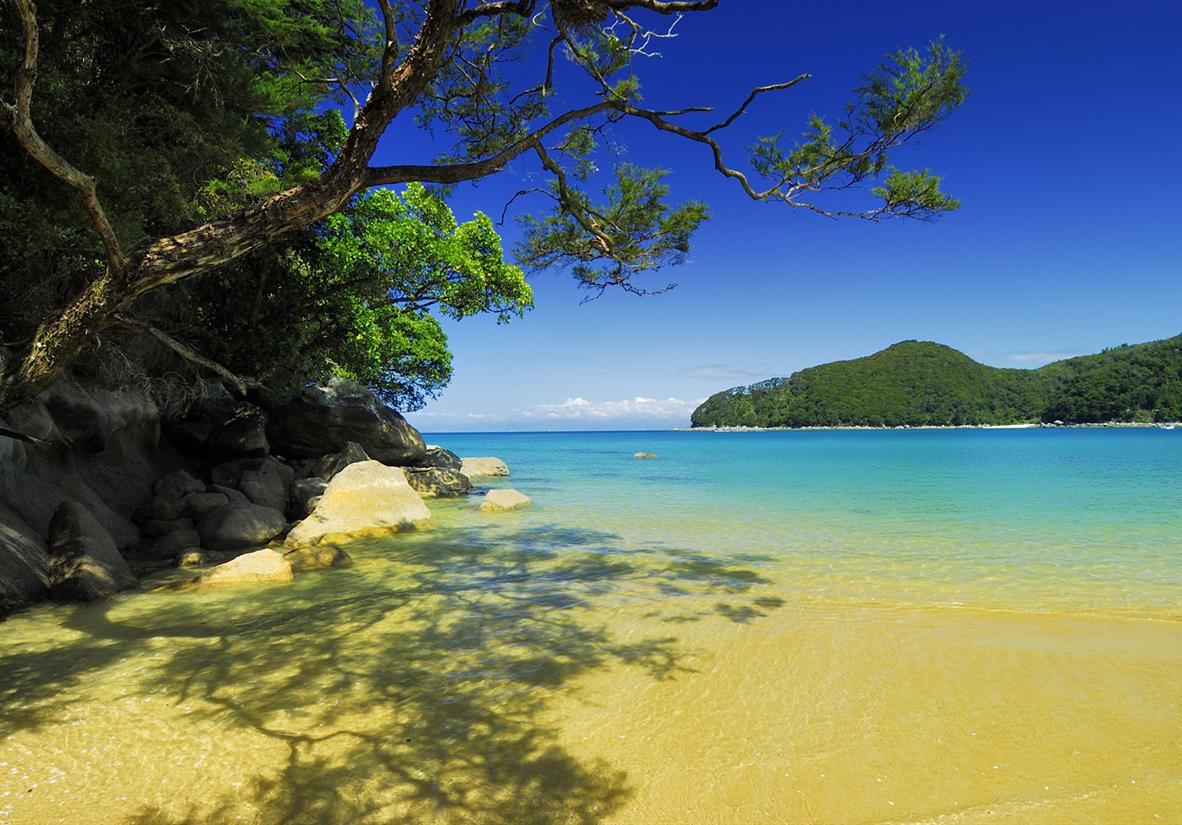 ss-1500-turquoise-seas