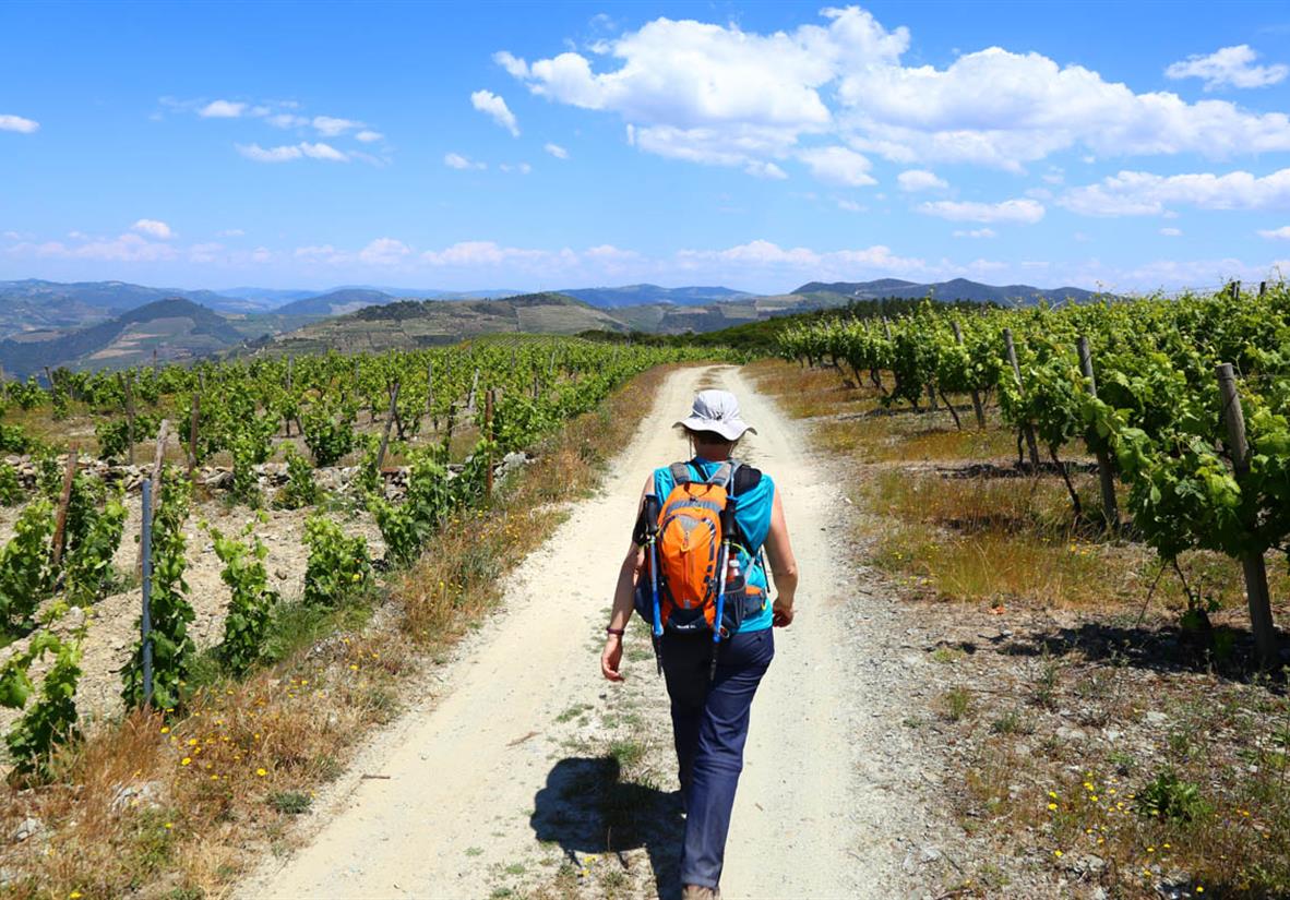 Wandern im Douro Tal