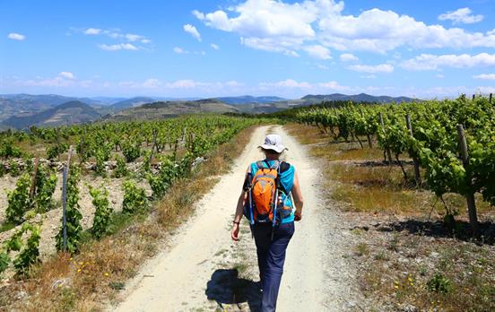 Wandern im Douro Tal