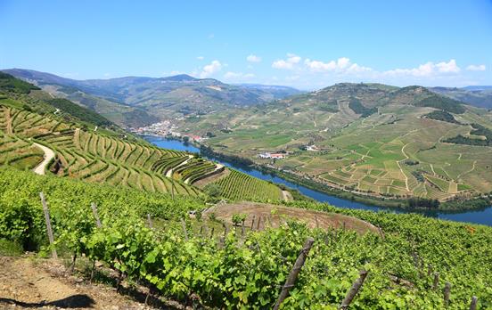 Douro Landschaft