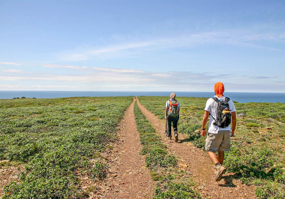 Gemütliche Wanderung