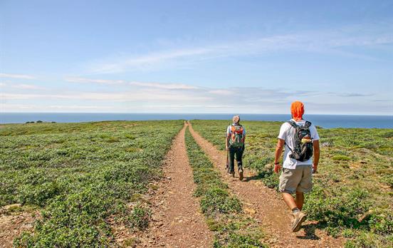 Gemütliche Wanderung