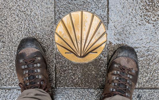 Die Jakobsmuschel zeigt den Weg