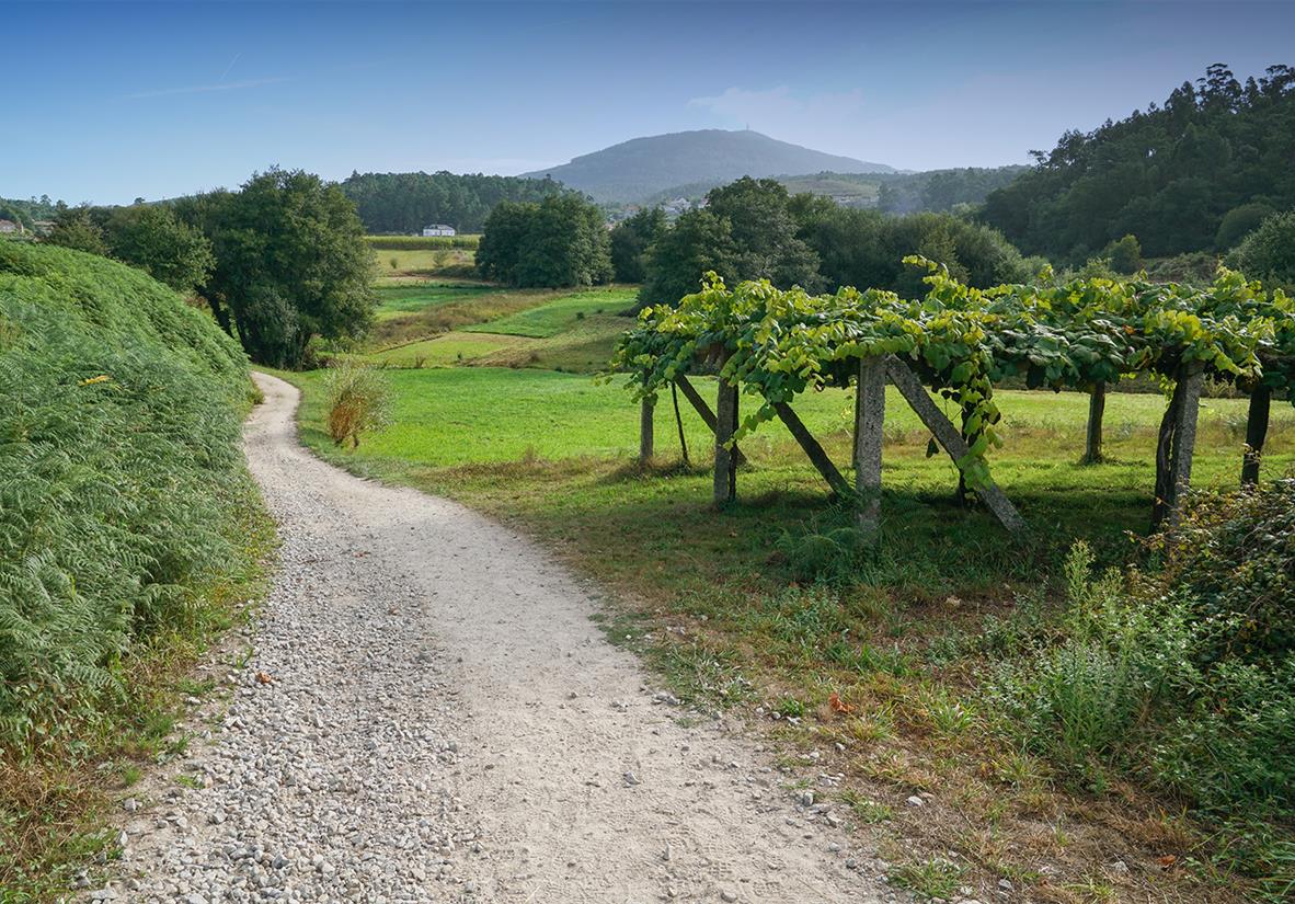 Walk the full Camino Portugues