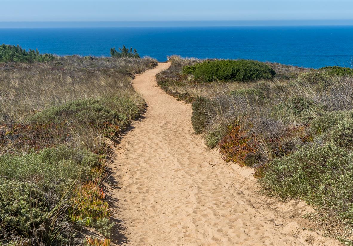 Walk on quiet trails along the coast
