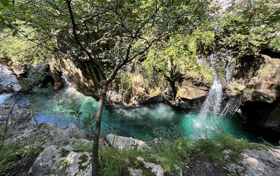 Die türkisblaue Soca