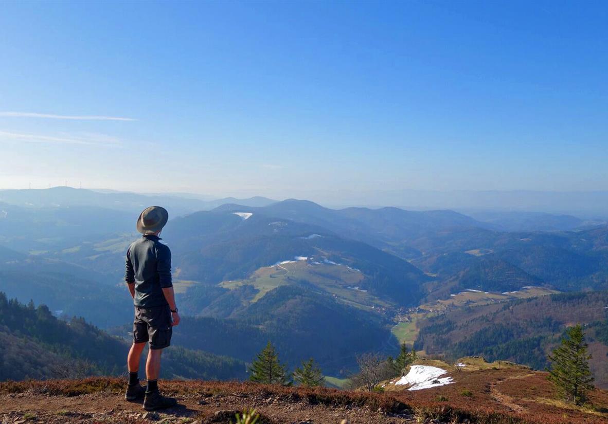Panoramic views