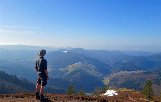 Panoramic views