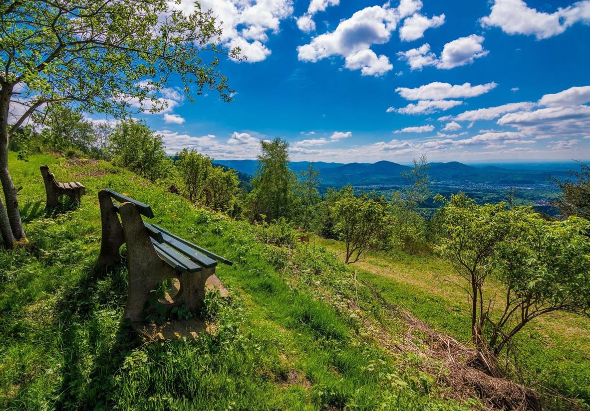 Perfect picnic bench