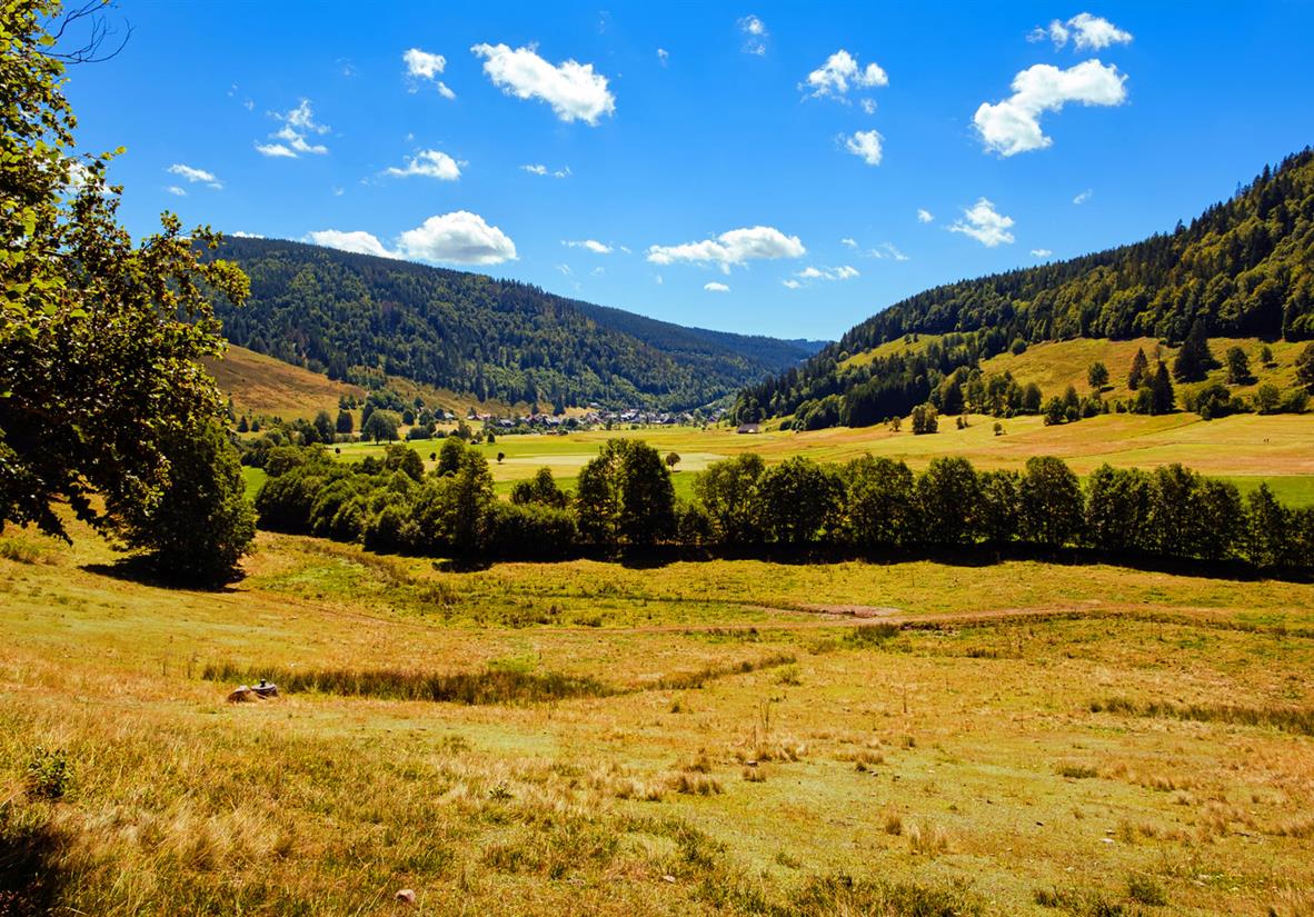Walking into Menzenschwand