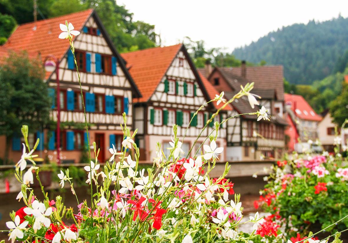 Traditional houses