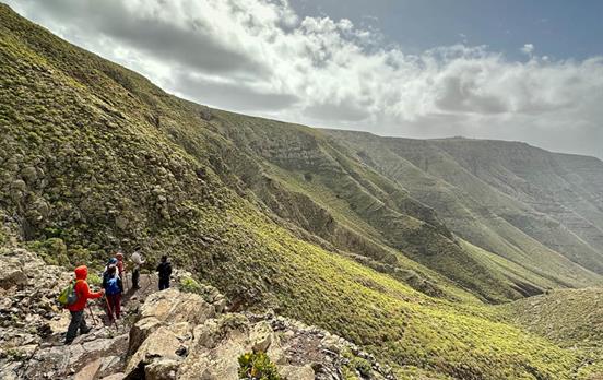 Die Steilküste Lanzarotes