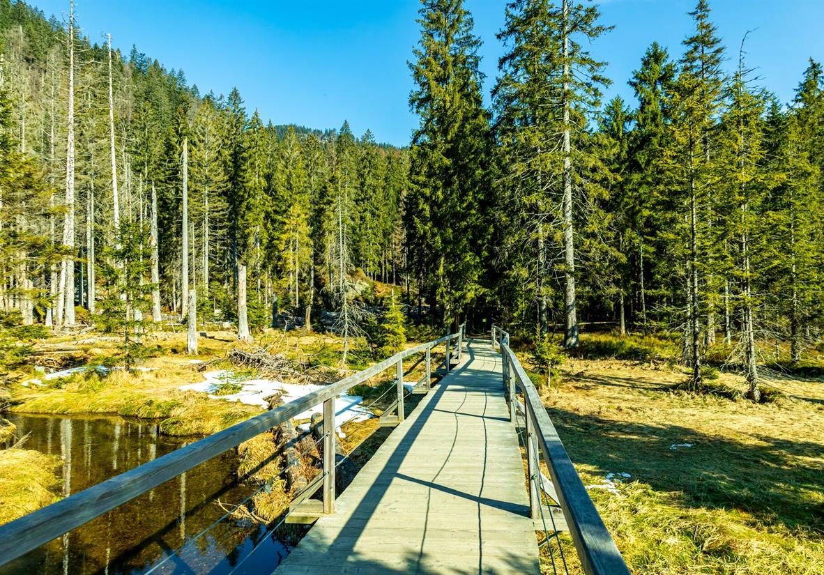 Wanderweg am Großen Arber