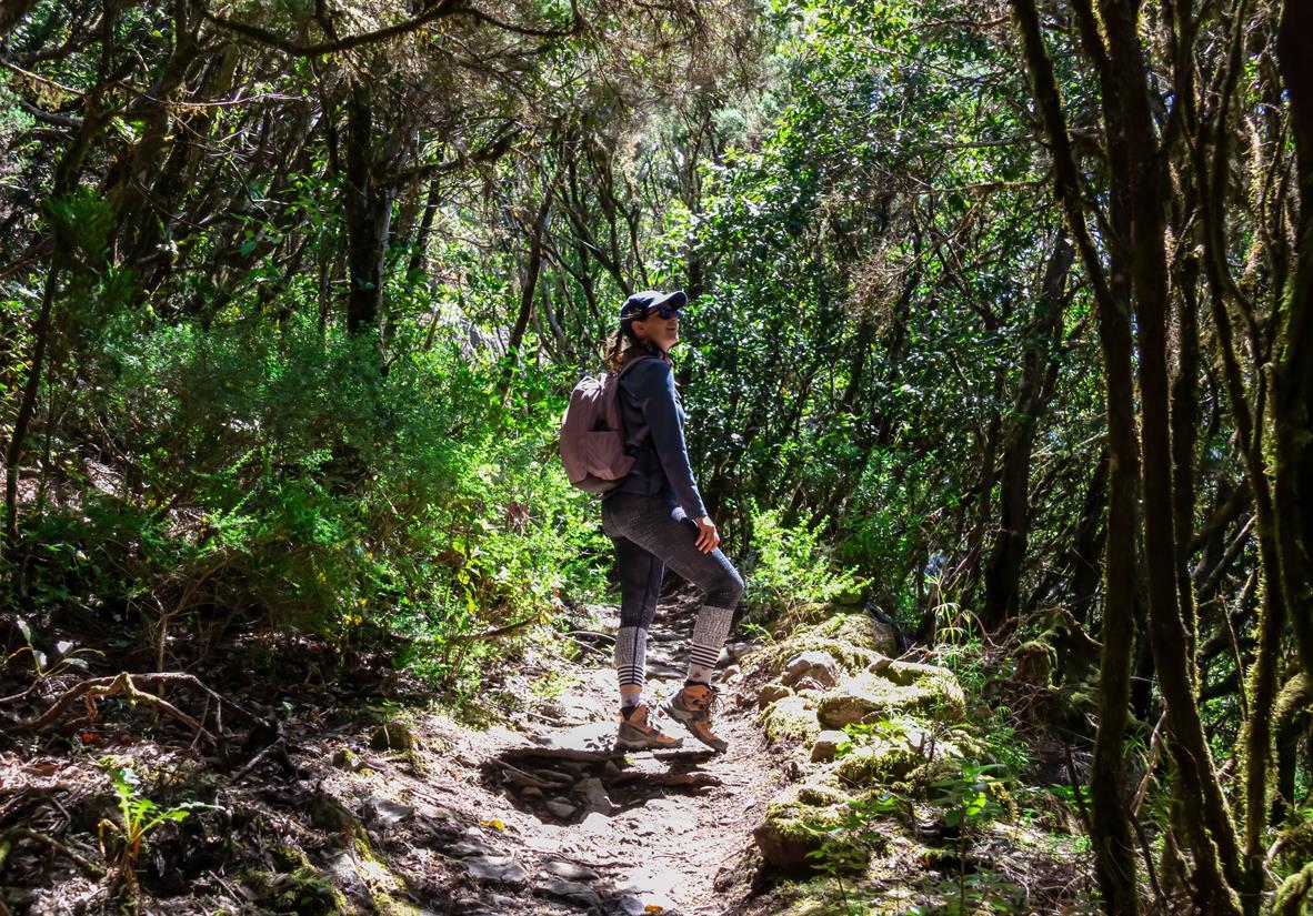 Wandern durch schättige Wälder im Mljet NP