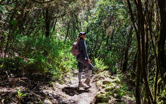 Wandern durch schättige Wälder im Mljet NP