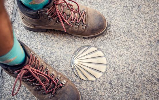 Jakobsmuschel in Santiago