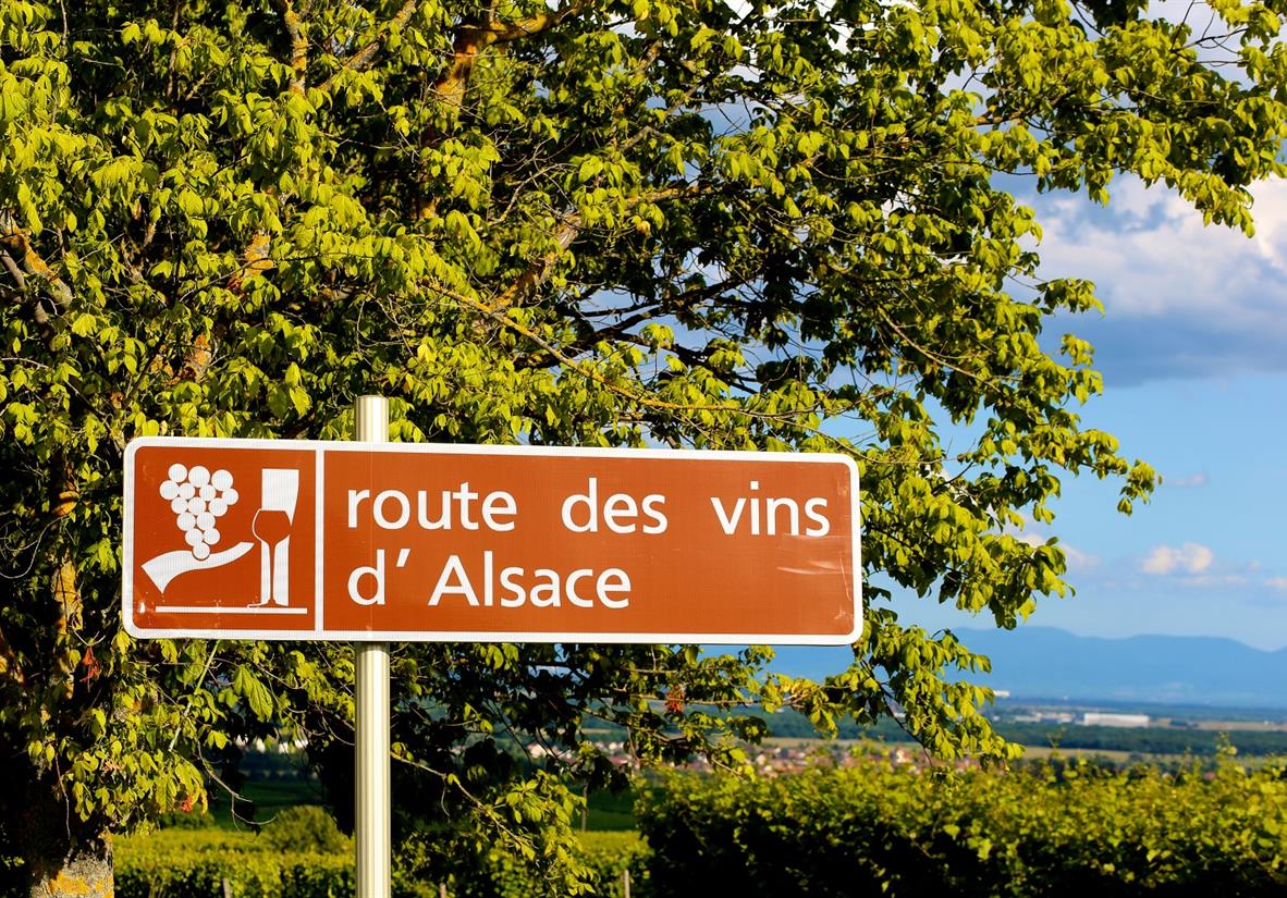 Follow the wine trail