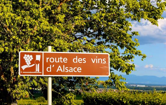 Walking the Wine Trail