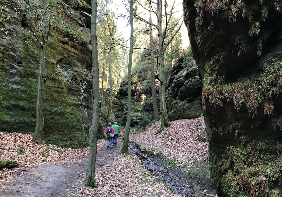 Der Malerweg führt durch mysthische Schluchten