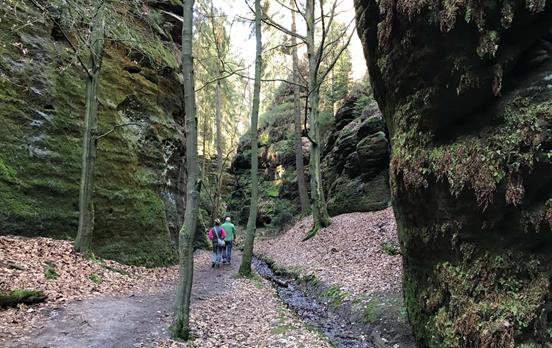 Der Malerweg führt durch mysthische Schluchten