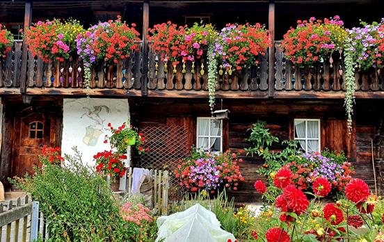 Typical Swiss House
