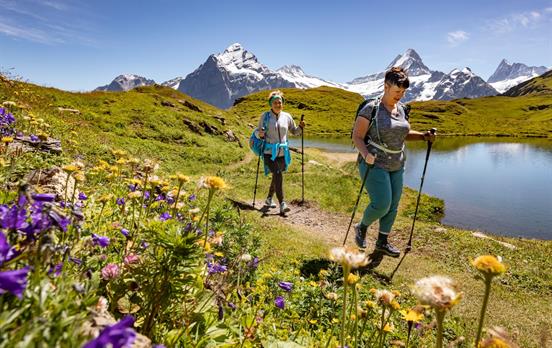 Walkers Above Grindelwald
