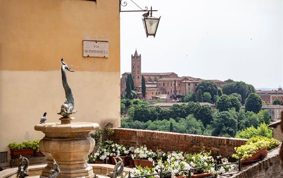 Renaissance cities