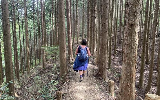 Wandern auf dem Kumano Kodo
