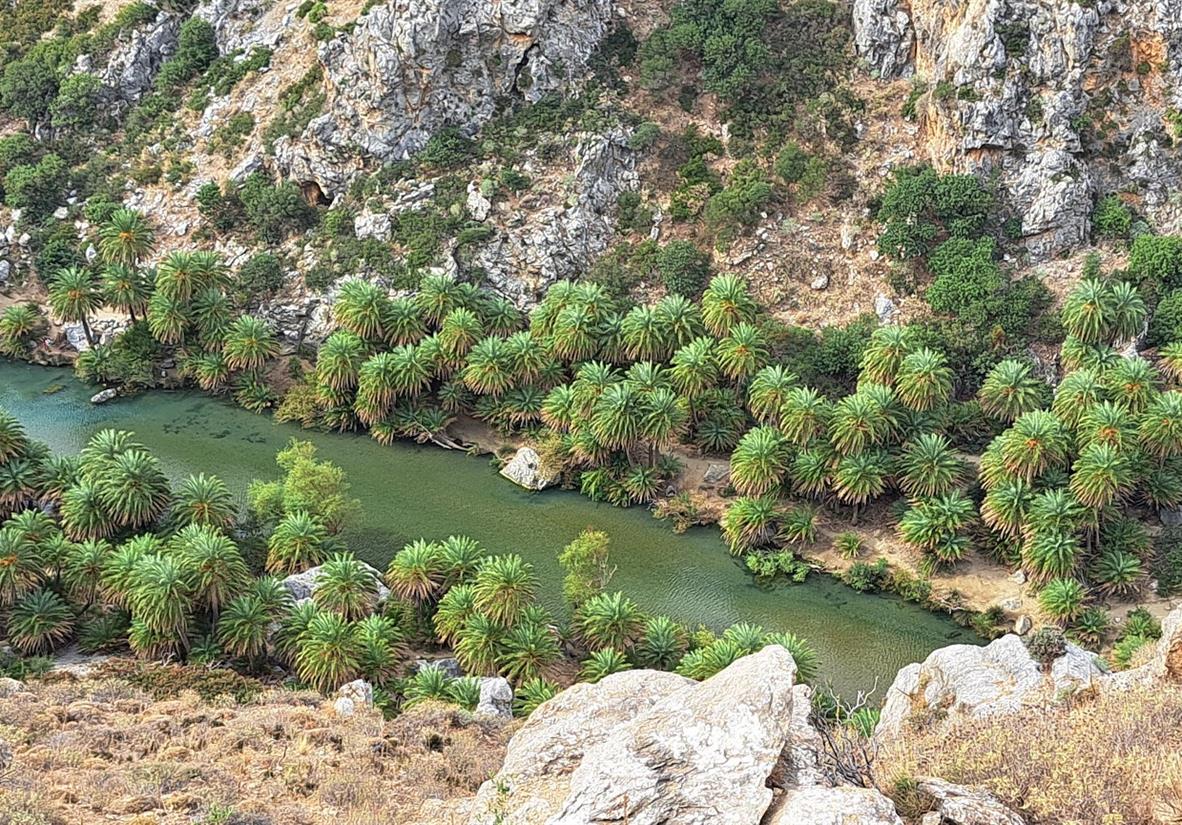 Preveli Palmenhain