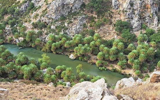 Preveli Palmenhain