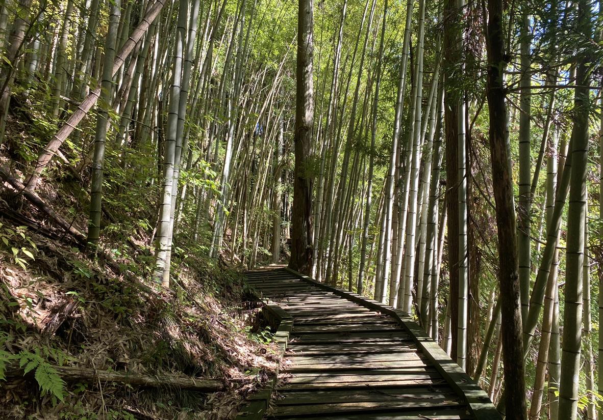 Nakasendo Pfad