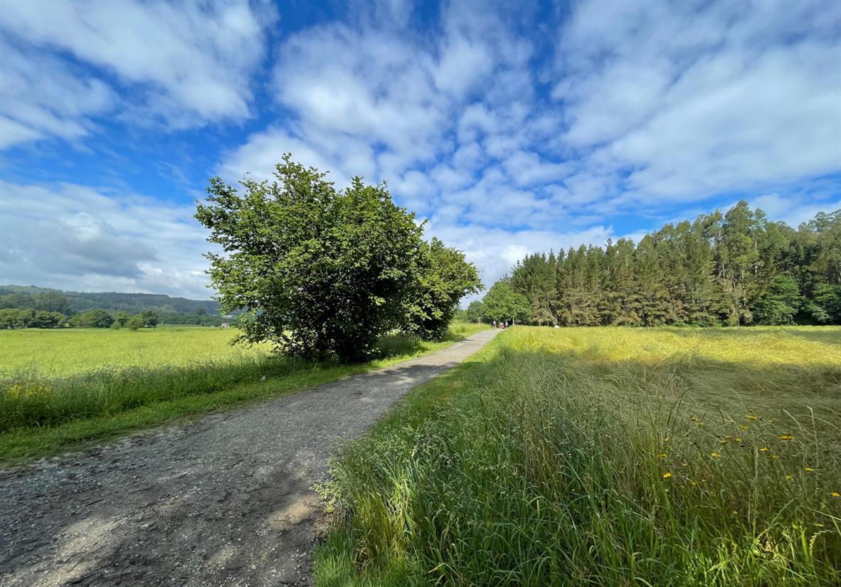 Genießen Sie die Landschaft Galiciens
