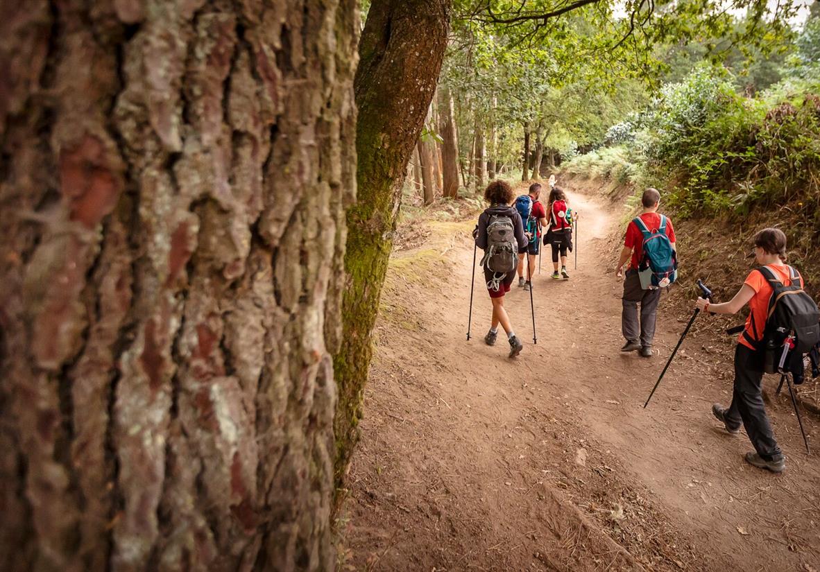 Scenic trails through Galician forests