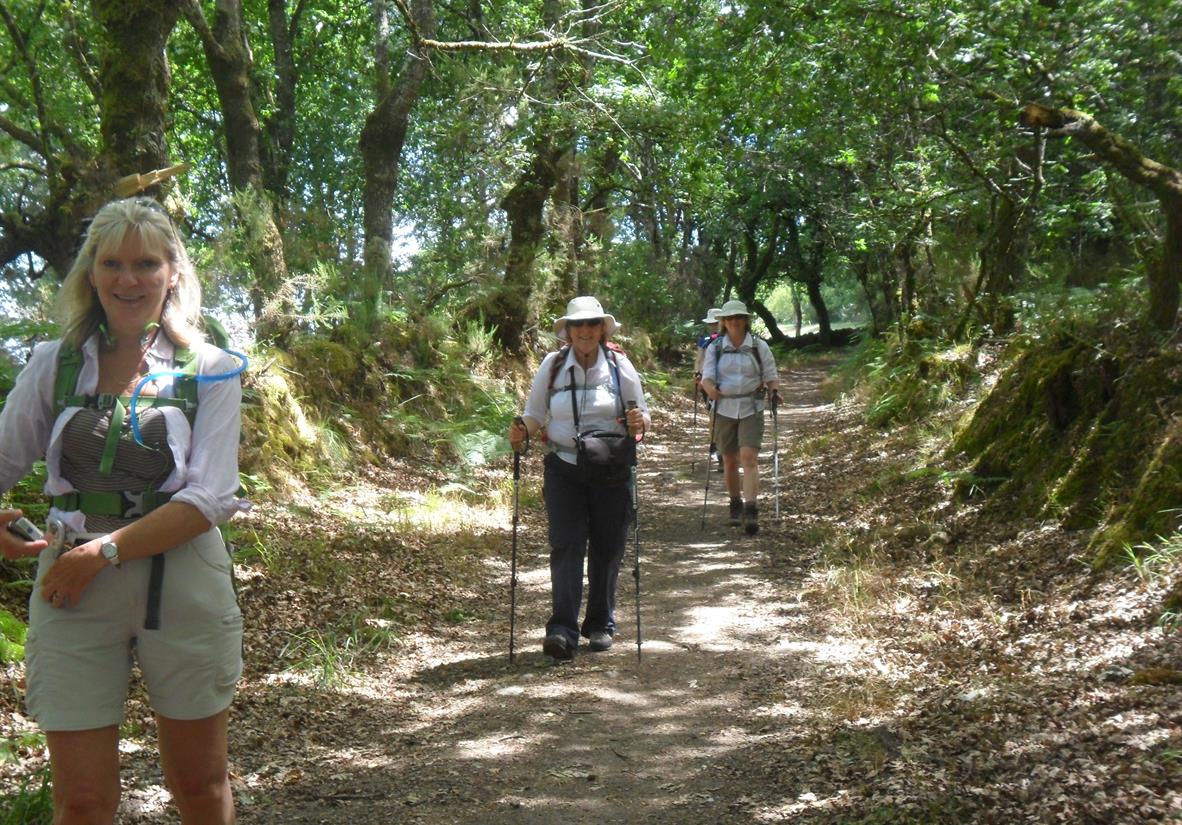 Pilgern auf dem Primitivo