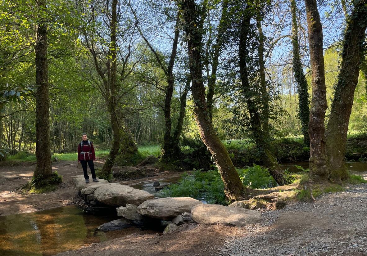 Pilger auf einer Waldsteinbrücke