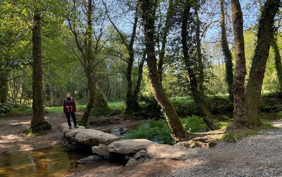 Pilger auf einer Waldsteinbrücke