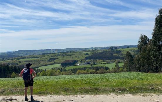 Auf dem Camino Primitivo hinter Lugo