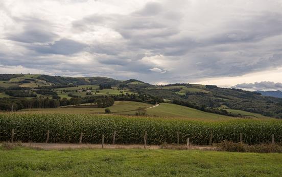 Camino Primitivo zwischen Tineo und Borres