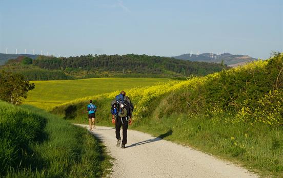 Durchwandern Sie beeindruckende Landschaften.