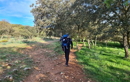 Letzter unebener Anstieg vor Burgos.