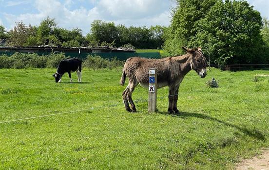 Man ist nie alleine unterwegs.