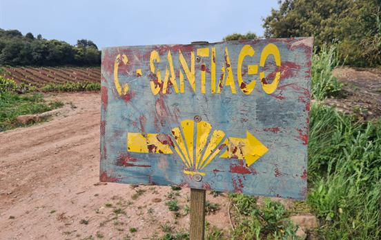 Camino de Santiago