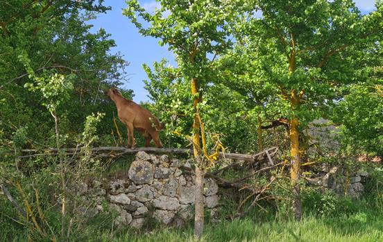 Manchmal muss man über sich hinaus wachsen.