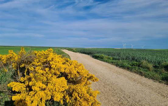 Wunderschöne Landschaften entlang des Weges