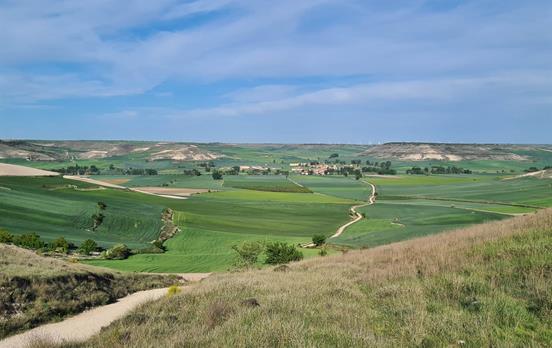 Erster Tag durch die Meseta
