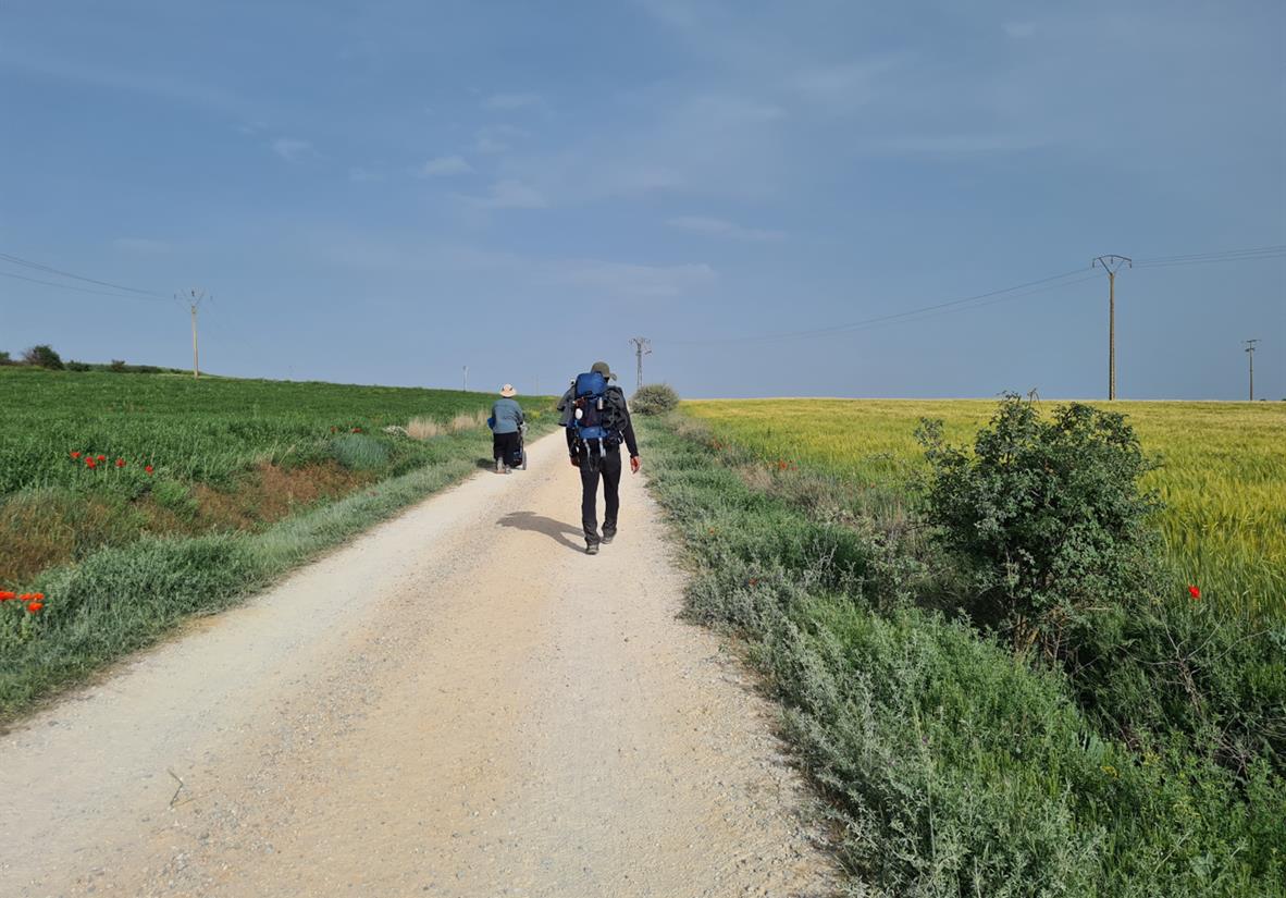 Nur wenige Schattenplätze in der Meseta.