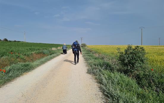 Nur wenige Schattenplätze in der Meseta.